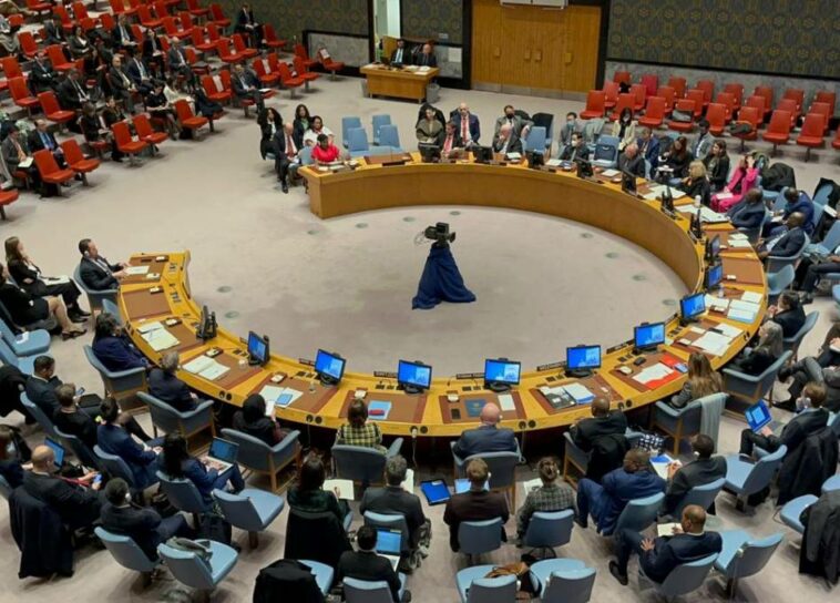 Espaldarazo unánime del Consejo de Seguridad de las Naciones Unidas a la paz total