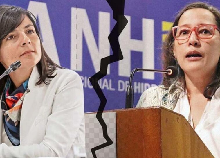 Exviceministra de Minas se fue con todo contra Irene Vélez: "le mintió al país"