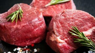Crean carne comestible con dióxido de carbono
