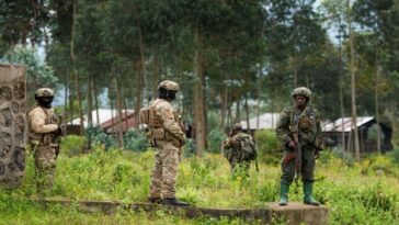 Ruanda dice que avión de combate del Congo violó su espacio aéreo | Noticias de Buenaventura, Colombia y el Mundo