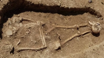 Un entierro masivo de restos romanos decapitados descubierto en Inglaterra | Noticias de Buenaventura, Colombia y el Mundo