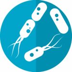 Cirugía de cáncer colorrectal: la modificación de la microbiota intestinal podría reducir las complicaciones posoperatorias | Noticias de Buenaventura, Colombia y el Mundo