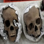Cuatro cráneos humanos detectados en un paquete por el escáner de seguridad de rayos X del aeropuerto | Noticias de Buenaventura, Colombia y el Mundo