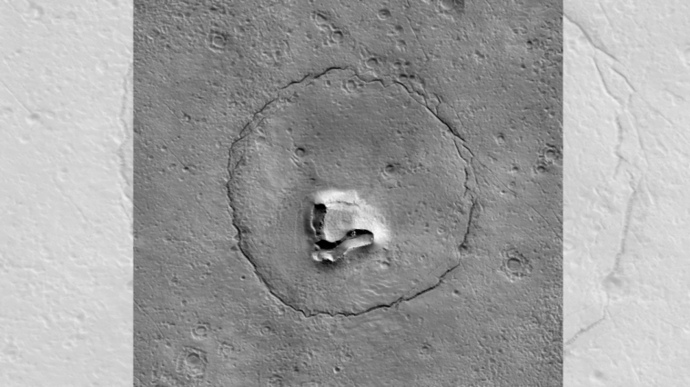 La NASA espía rocas marcianas que parecen un oso de peluche | Noticias de Buenaventura, Colombia y el Mundo