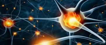Predicción de la demencia utilizando las características de las redes neuronales | Noticias de Buenaventura, Colombia y el Mundo