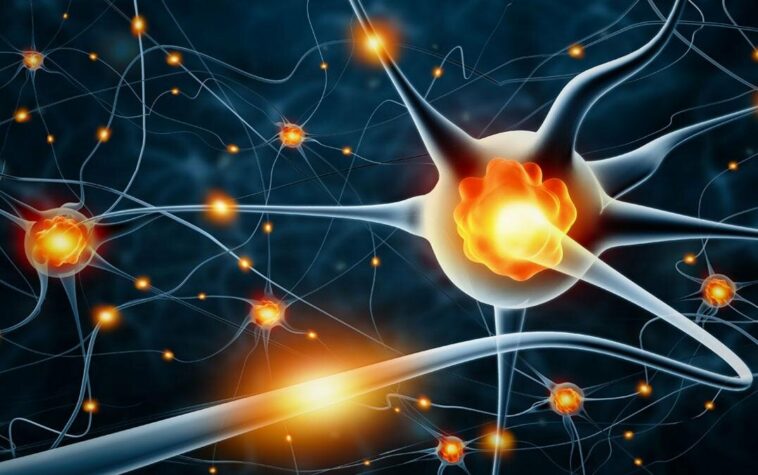 Predicción de la demencia utilizando las características de las redes neuronales | Noticias de Buenaventura, Colombia y el Mundo