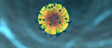 Para acelerar la terapia de células T con CAR, inhiba la proteína de membrana SUSD2, sugiere un estudio | Noticias de Buenaventura, Colombia y el Mundo