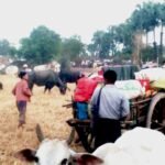 Junta allana pueblos de la región de Sagaing obligando a 2.000 lugareños a huir | Noticias de Buenaventura, Colombia y el Mundo