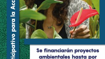FINANCIARÁN PROYECTOS AMBIENTALISTAS EN EL VALLE | Noticias de Buenaventura, Colombia y el Mundo