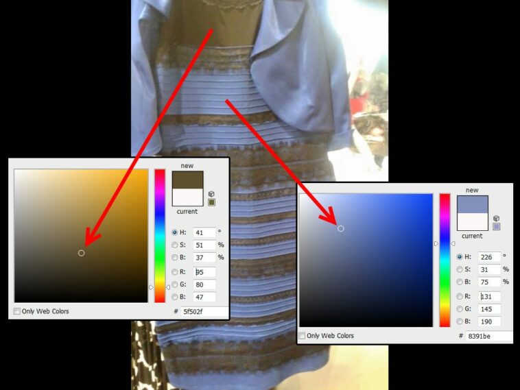 La Controversia Del Vestido Blanco, Dorado, Negro Y Azul Planteó Preguntas  Científicas Sobre La Percepción Visual,