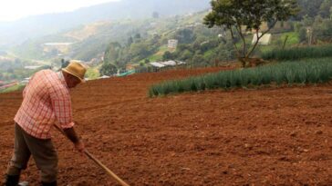Dinero destinado por el Gobierno para ayudas al agro por fenómeno de La Niña | Finanzas | Economía