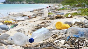 Pacto de los Plásticos: la unión que busca salvar al mar de la contaminación | Finanzas | Economía