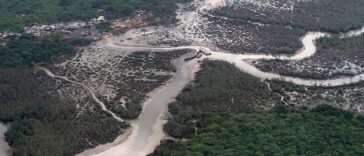 Comunidades nigerianas presentan demanda por daños y perjuicios contra Shell | Noticias de Buenaventura, Colombia y el Mundo