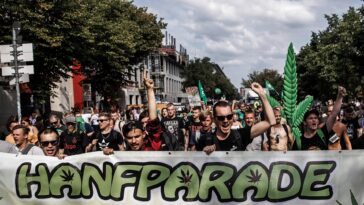 'El cannabis en Alemania será una historia de éxito': la economía más grande de Europa se acerca a la legalización de la marihuana | Noticias de Buenaventura, Colombia y el Mundo