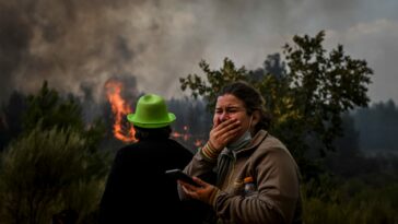 Los mejores científicos del clima del mundo publican una 'guía de supervivencia para la humanidad' y piden una corrección importante del rumbo | Noticias de Buenaventura, Colombia y el Mundo