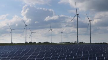 El jefe de la agencia de energía advierte que la transición a las energías renovables está muy desviada y emite una advertencia sobre los activos varados | Noticias de Buenaventura, Colombia y el Mundo
