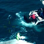 Pareja rescatada tras naufragio de embarcación | Noticias de Buenaventura, Colombia y el Mundo