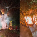 [EN VIDEO]: momento exacto en el que se incendió «la casa en el árbol» en Medellín