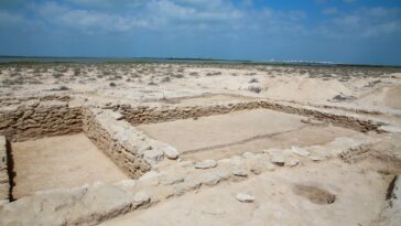 Arqueólogos descubren la ciudad pesquera de perlas más antigua del golfo Pérsico del siglo VI | Noticias de Buenaventura, Colombia y el Mundo