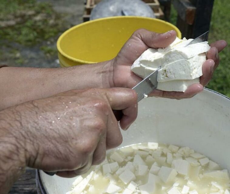 Venezuela: el camino para convertirse en el segundo productor de queso en América Latina | Finanzas | Economía