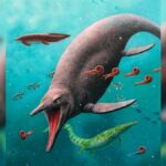 Los fósiles de 'pez-lagarto' más antiguos jamás encontrados sugieren que estos monstruos marinos sobrevivieron a la 'Gran Muerte' | Noticias de Buenaventura, Colombia y el Mundo