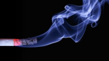 Donde hay humo, hay tiocianato: los investigadores encuentran que los consumidores de tabaco en Canadá están expuestos a niveles más altos de cianuro | Noticias de Buenaventura, Colombia y el Mundo