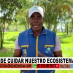 TALA ÁRBOLES | Noticias de Buenaventura, Colombia y el Mundo