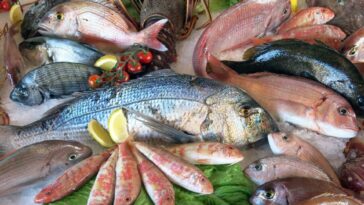 Semana Santa: así están los precios de diferentes tipos de pescados en Colombia | Finanzas | Economía