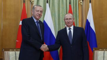 Putin felicita al 'querido amigo' Erdogan mientras el desafío de Turquía de la OTAN parece permanecer | Noticias de Buenaventura, Colombia y el Mundo