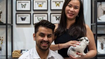 Esta pareja de Singapur tiene un negocio paralelo que preserva animales muertos, y genera cinco cifras al mes | Noticias de Buenaventura, Colombia y el Mundo