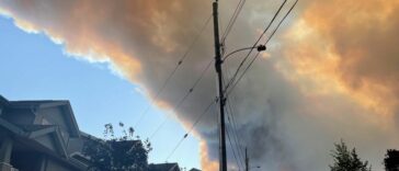 Incendio forestal en Halifax de Canadá conduce a órdenes de evacuación para miles de hogares | Noticias de Buenaventura, Colombia y el Mundo