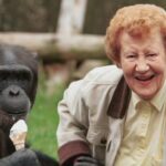 PG Tips Twycross Zoo celebra su 60 aniversario | Noticias de Buenaventura, Colombia y el Mundo