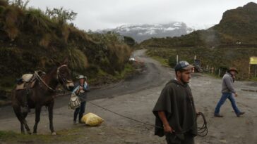 Agricultura en peligro por actividad del Nevado del Ruiz | Economía
