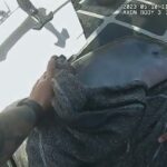 Diputados de Florida ayudan a rescatar a delfín recién nacido que lucha solo en el océano, muestra un video | Noticias de Buenaventura, Colombia y el Mundo