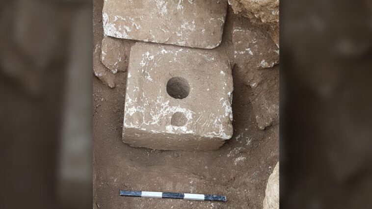 Las heces de 2.500 años de antigüedad de los inodoros de Jerusalén contienen la evidencia más antigua del parásito de la disentería | Noticias de Buenaventura, Colombia y el Mundo