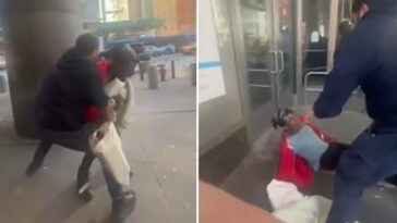 Presunto ladrón de NYC golpea al guardia de seguridad de Walgreens en video – guardia arrestado por cargo de asalto | Noticias de Buenaventura, Colombia y el Mundo
