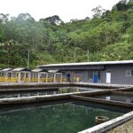 Por primera vez la planta de tratamiento de agua potable en Escalerete ubicada en la reserva forestal de San Cipriano cuenta con fluido eléctrico. | Noticias de Buenaventura, Colombia y el Mundo