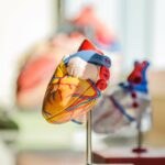 Nueva guía: identificar la causa de la enfermedad del músculo cardíaco en los niños es clave para un tratamiento eficaz | Noticias de Buenaventura, Colombia y el Mundo