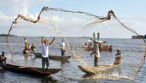 Administración Distrital acompañó reunión entre gremio de pescadores y directivos de la empresa Tcbuen | Noticias de Buenaventura, Colombia y el Mundo