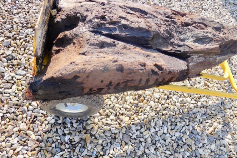 Se ha encontrado una losa de madera tallada de 6.000 años de antigüedad anterior a Stonehenge en Berkshire, Inglaterra | Noticias de Buenaventura, Colombia y el Mundo