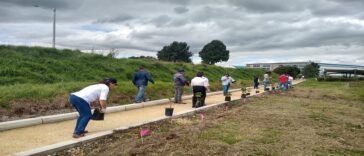 Cundinamarca se transforma verde: Siembran árboles en municipios tras recoger residuos electrónicos