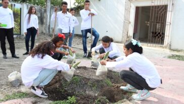Los estudiantes de Unimagdalena que emprenden enseñando a cuidar el medioambiente 