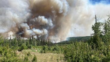 Ante una temporada de incendios sin precedentes, Canadá se enfrenta a un desafío logístico | Noticias de Buenaventura, Colombia y el Mundo