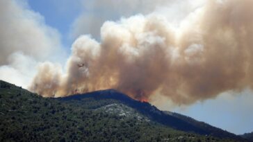 Cómo protegerse del humo de los incendios forestales | Noticias de Buenaventura, Colombia y el Mundo