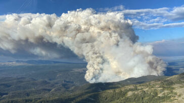 Cómo combatir los incendios forestales de Canadá en la era del cambio climático | Noticias de Buenaventura, Colombia y el Mundo
