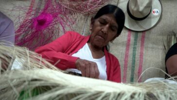 Agroexpo: una feria para promover la agricultura en Colombia | Noticias de Buenaventura, Colombia y el Mundo