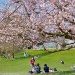 El Jardín Botánico de Birmingham revela una renovación de 13 millones de libras esterlinas | Noticias de Buenaventura, Colombia y el Mundo