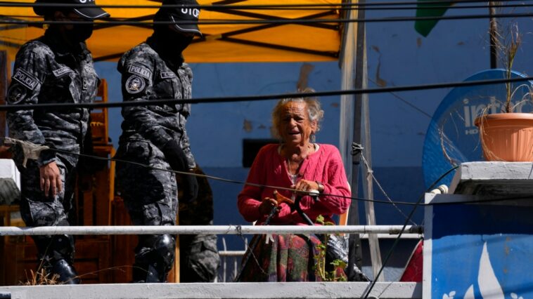 Anciana activista de DDHH mantiene protesta por 50 días en Bolivia con el fin de recuperar su carga | Noticias de Buenaventura, Colombia y el Mundo