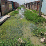 Comunidad de Sitionuevo denuncia rebosamiento de aguas negras