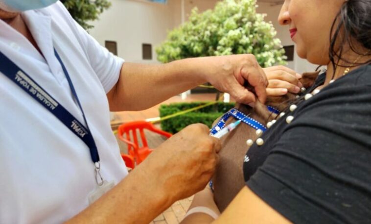 Más de 19 mil peluditos han sido vacunados contra la rabia en Yopal